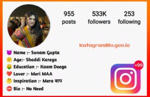 Instagram Bio in Hindi