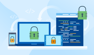 Building Secure Software