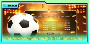 Football Match Analysis
